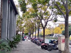 -运河游船(武林门码头)