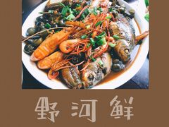 野河鲜（朋友鱼）-阿东农家菜(新场古镇下塘街店)