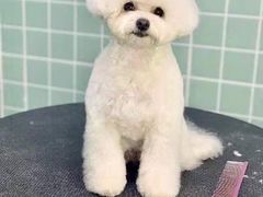 -哈尼爱宠·宠物生活会馆