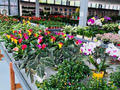 -南通洲际绿博园