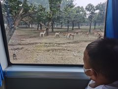 -西安秦岭野生动物园