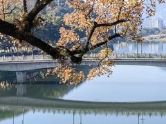 -溪口-滕头旅游景区