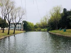 -上海滨江森林公园