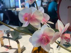 -大鸭梨烤鸭(望京店)