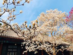 -颐和园
