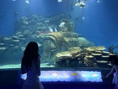 -海合安武汉极地海洋公园