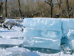 -长春市南湖公园