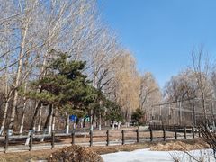 -沈阳鸟岛