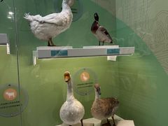 -国家自然博物馆