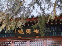 -北京凤凰岭