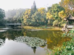 -深圳国际园林花卉博览园