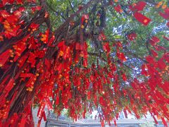 -佛山市祖庙博物馆