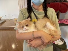 -共舞时光猫咖·狗咖(新街口店)