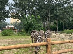 -大连森林动物园