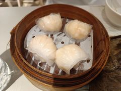晶莹鲜虾饺-添好运点心专门店(深水埗店)