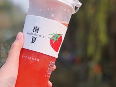 -树夏(金楠天街店)