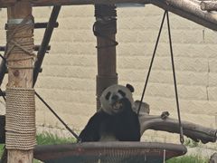 -石家庄市动物园