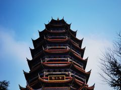 -铁山坪森林公园