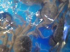 -花西亭·海鲜自助餐厅(瑞城名人酒店)