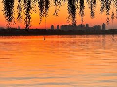 -金鸡湖景区