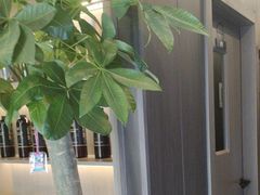 -鹿栖.精油SPA(金山世纪城店)