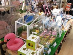 -LOG-ON(海港城店)