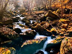 -燕子河大峡谷天坑仙境