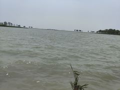 -巢湖姥山岛