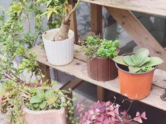 -Home Cafe(水榭春天店)