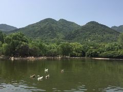 -西安秦岭野生动物园