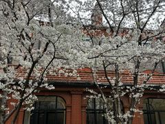 -Circle圆·花园西餐厅