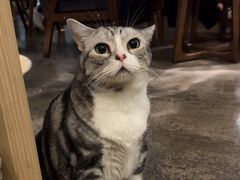 -咖法森林·咖啡  酒吧(天河店)