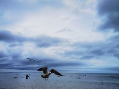 -那香海钻石沙滩浴场