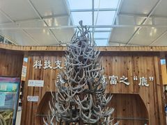 -北京鹿世界主题园