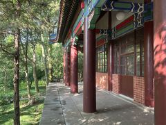 -灵谷景区