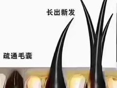 -中国农业大学(西校区)