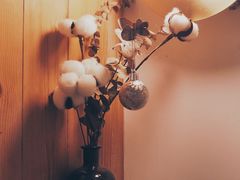 -COTTON CAFE(德信·中外公寓店)