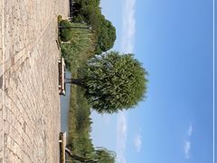 -沙家浜风景区