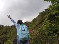 -大围山国家森林公园