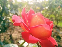 -人民公园(罗湖区)