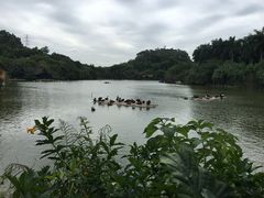 -广州长隆野生动物世界
