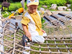 -杭州少年儿童公园