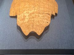 -盘龙城国家考古遗址公园