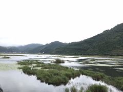 -腾冲北海湿地