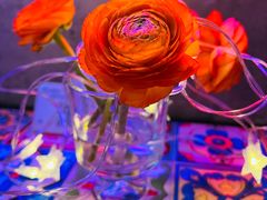 -LESCEDARS Brasserie Bistro香柏树