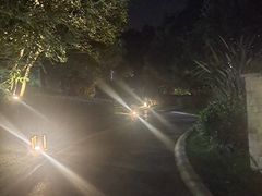 -抚仙湖万达文华酒店