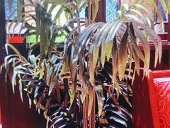 -点都德(华强南店)