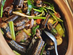 -八府香鸭·啫啫煲(华山路店)