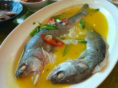 -扬州狮子楼·非遗淮扬菜(总店)
