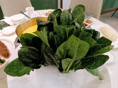 -喜聚薈·花膠雞海鮮火鍋(越秀店)